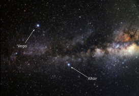 Vega and Altair Stars