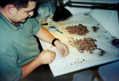 Lab assistant John Vasquez sorts out some of the thousands of rusty metal bits recovered from our excavations. Much of this material is so corroded and fragmentary it is unidentifiable and will be discarded. 